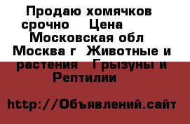 Продаю хомячков, срочно! › Цена ­ 300 - Московская обл., Москва г. Животные и растения » Грызуны и Рептилии   
